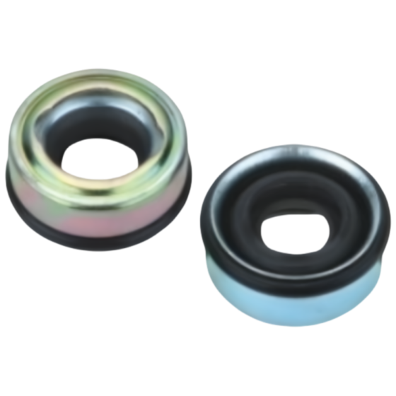RGFROST Universal Car Air Condition System compressor Shaft Seal RGS-009